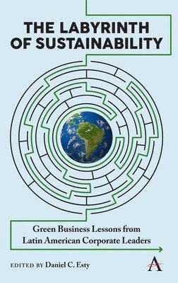 The Labyrinth of Sustainability 1