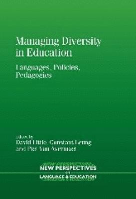 bokomslag Managing Diversity in Education