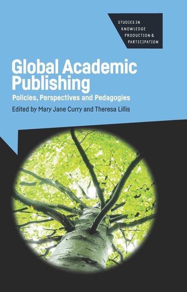 Mary Jane Curry, Theresa Lillis - Global Academic Publishing, Häftad