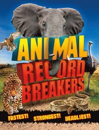 bokomslag Animal Record Breakers