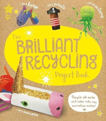bokomslag Brilliant Recycling Project Book