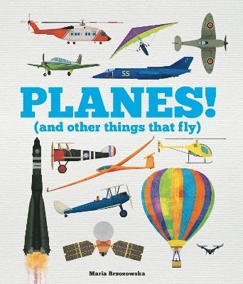 Bryony Davies - Planes!, Inbunden