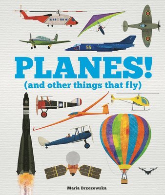 Planes!: (And Other Things That Fly) 1