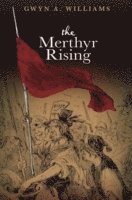 bokomslag The Merthyr Rising