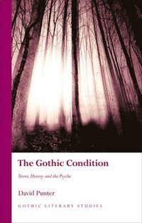 bokomslag The Gothic Condition
