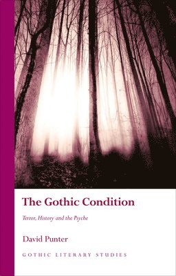 David Punter - Gothic Condition, Inbunden