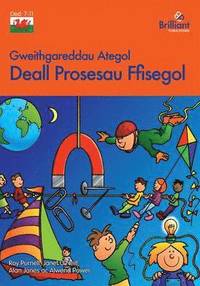 bokomslag Deall Prosesau Ffisegol