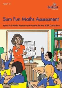 bokomslag Sum Fun Maths Assessment for 9-11 year olds