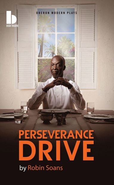 bokomslag Perseverance Drive