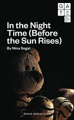 bokomslag In the Night Time (Before the Sun Rises)