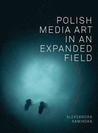 bokomslag Polish Media Art in an Expanded Field