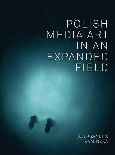 bokomslag Polish Media Art in an Expanded Field