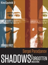 bokomslag Sergei Paradjanov