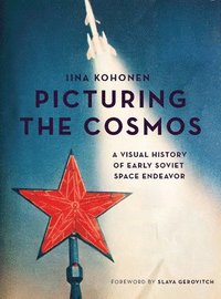bokomslag Picturing the Cosmos