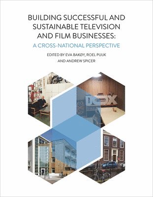 Building Successful and Sustainable Film and Television Businesses 1