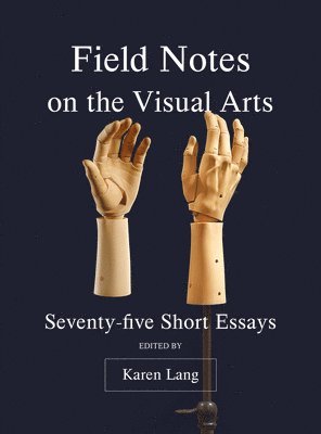 Karen Lang - Field Notes on the Visual Arts, Häftad