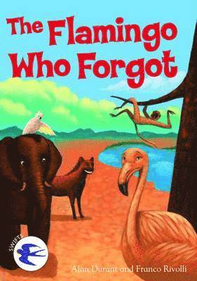Flamingo Who Forgot