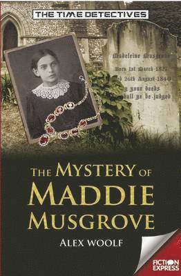 bokomslag The Mystery of Maddie Musgrove