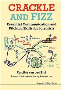 bokomslag Crackle And Fizz: Essential Communication And Pitching Skills For Scientists