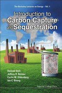 bokomslag Introduction To Carbon Capture And Sequestration