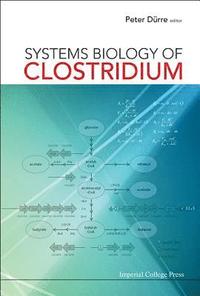 bokomslag Systems Biology Of Clostridium