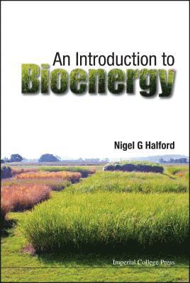 Introduction To Bioenergy, An 1