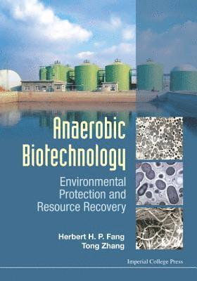 bokomslag Anaerobic Biotechnology: Environmental Protection And Resource Recovery