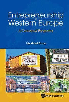 bokomslag Entrepreneurship In Western Europe: A Contextual Perspective