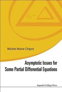 bokomslag Asymptotic Issues For Some Partial Differential Equations