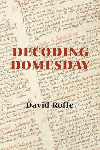 bokomslag Decoding Domesday