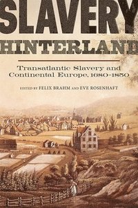 bokomslag Slavery Hinterland