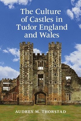 bokomslag Culture of Castles in Tudor England and Wales
