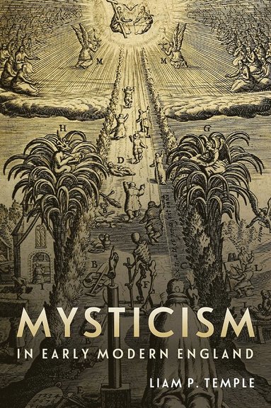 bokomslag Mysticism in Early Modern England