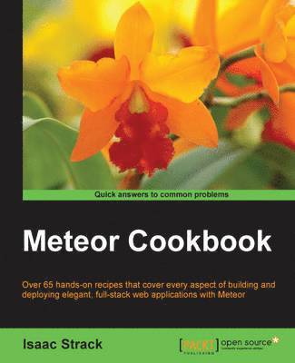 bokomslag Meteor Cookbook