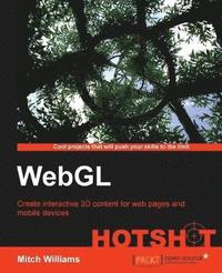 bokomslag Webgl Hotshot
