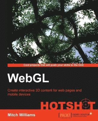 bokomslag Webgl Hotshot