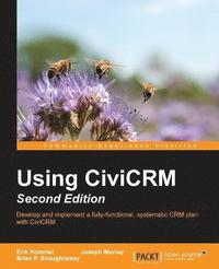 bokomslag Using CiviCRM -