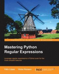 bokomslag Mastering Python Regular Expressions