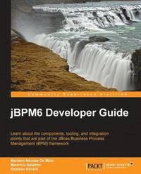 bokomslag jBPM6 Developer Guide