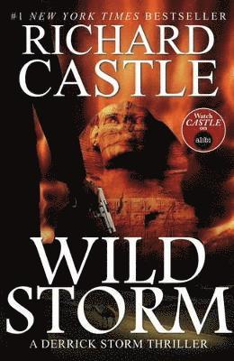 Wild Storm 1