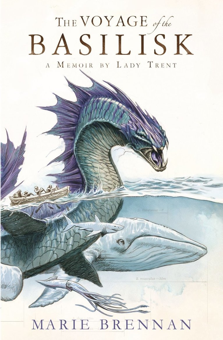 Voyage of the Basilisk 1