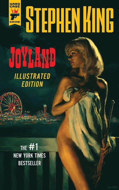 bokomslag Joyland (Illustrated Edition)