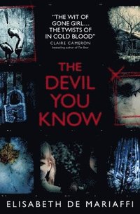 bokomslag Devil You Know