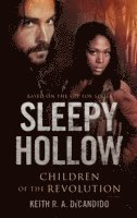 bokomslag Sleepy Hollow