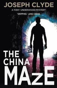bokomslag The China Maze