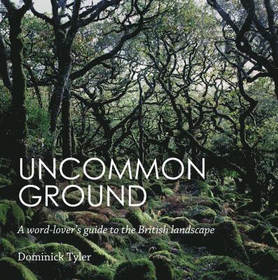 Uncommon Ground 1