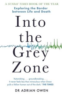 bokomslag Into the Grey Zone: A Neuroscientist Explores the Border Between Life and Death
