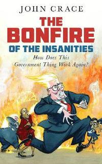 bokomslag Bonfire of the Insanities