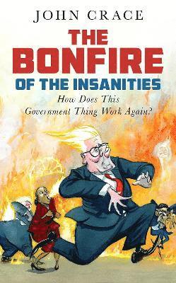 bokomslag Bonfire of the Insanities