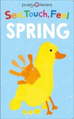 See, Touch, Feel: Spring 1